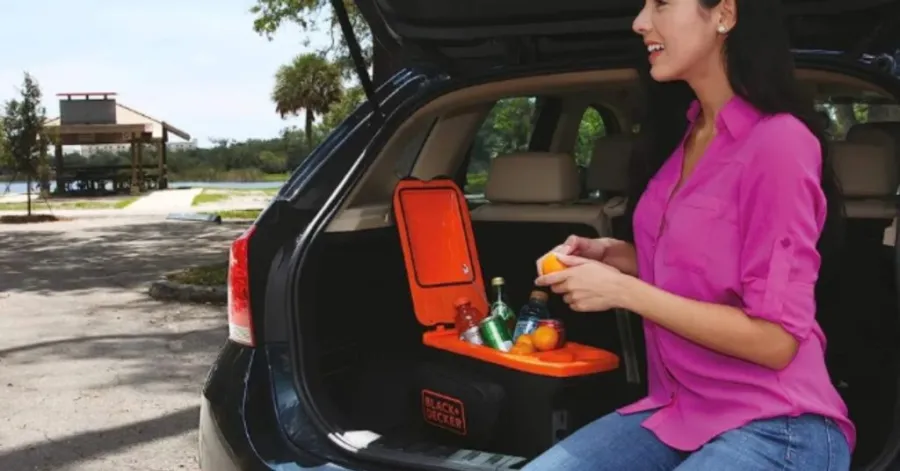 mini cooler fridge for car