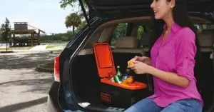 mini cooler fridge for car
