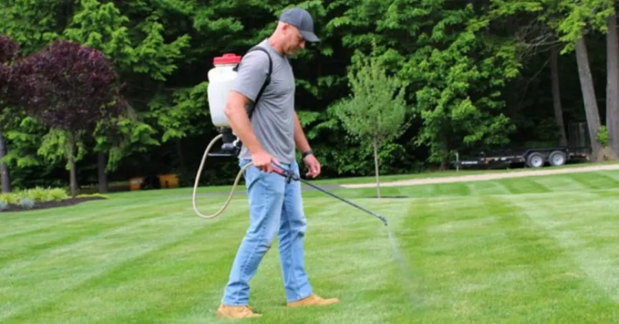 best lawn sprayer