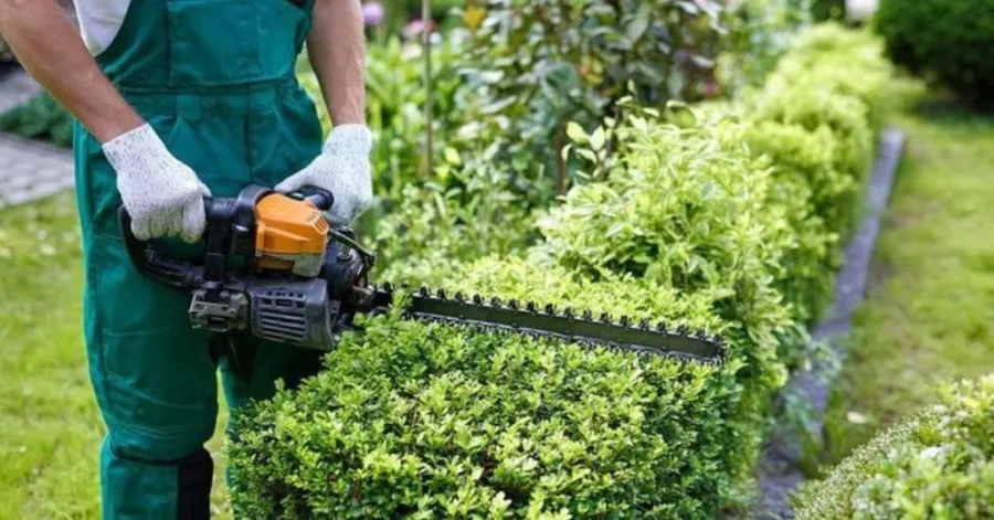 Hedge cutter gas