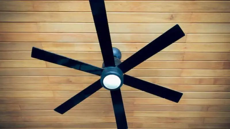 Ceiling Fan for Room
