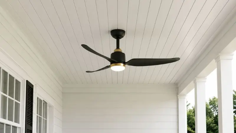Ceiling Fan with Light