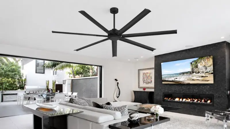 Ceiling Fan for Room