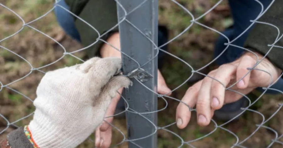 wire fencing cost