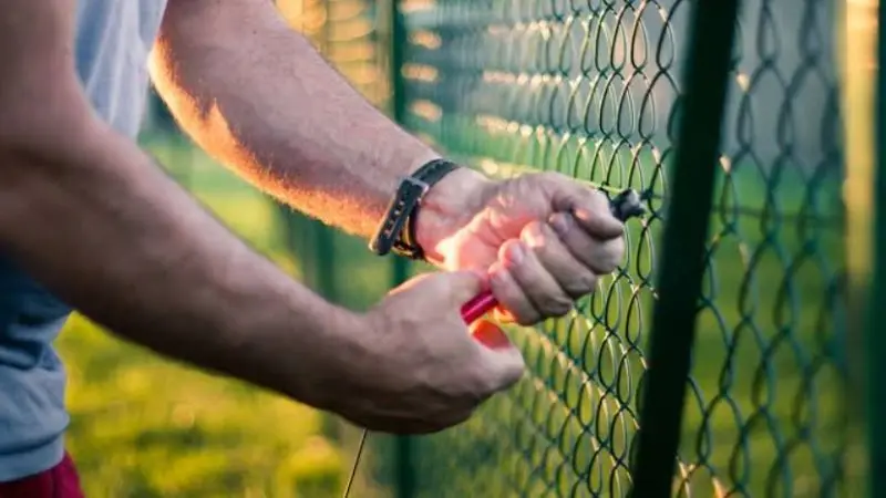 cost of different types of fencing