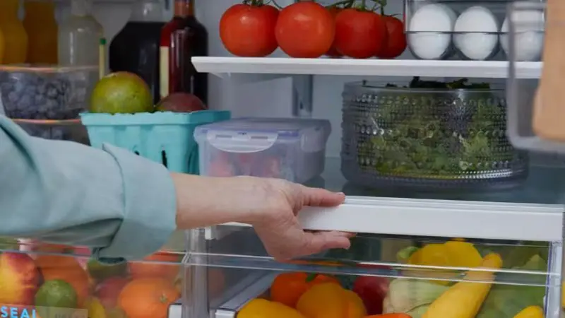 how to check and maintain correct refrigerator temprature