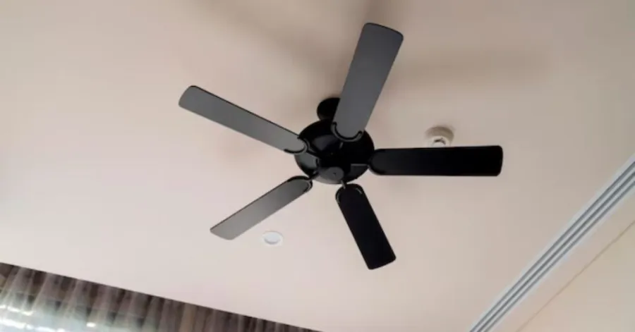 black ceiling fan without light