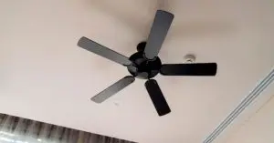 black ceiling fan without light