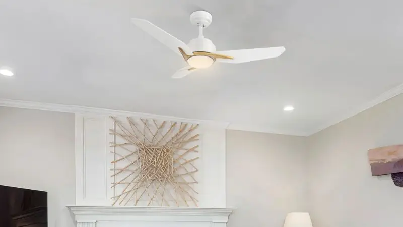 60 Inch Ceiling Fan