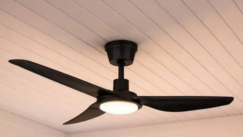 Ceiling Fan for Living Room