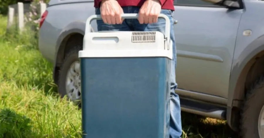mini car refrigerator 