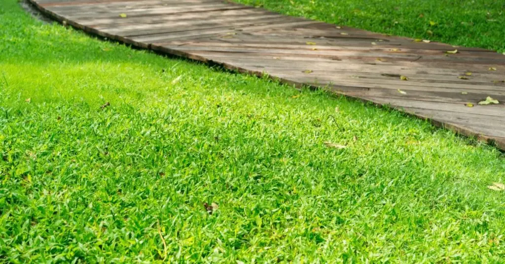 Types of Lawn Edging