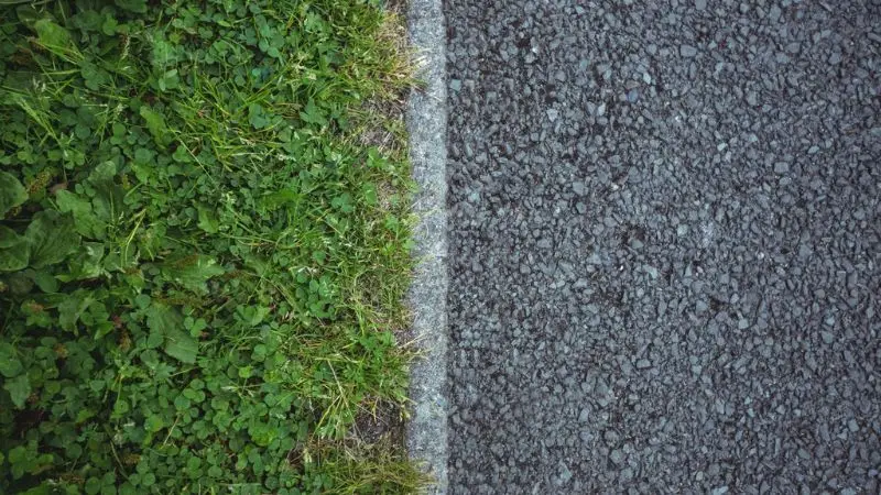 Cómo elegir el mejor tipo de borde para césped