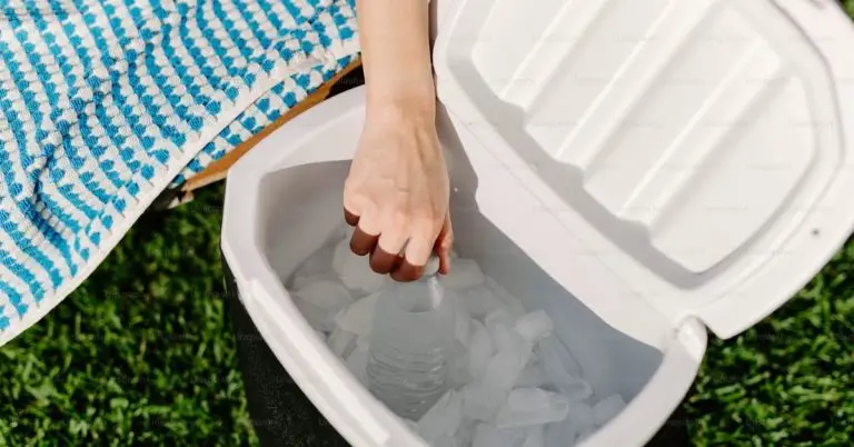 portable electric cooler