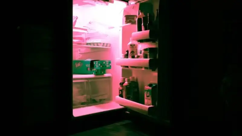 what is a 12V refrigerator freezer and why use one?