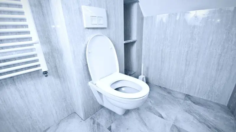 Main Parts of an Upflush Toilet System 
