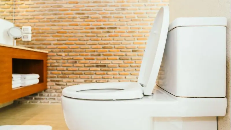 What Are the Main Parts of an Upflush Toilet System?