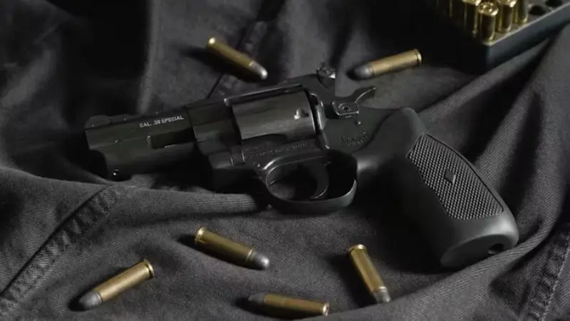 This guide explained that portable gun safes are secure
