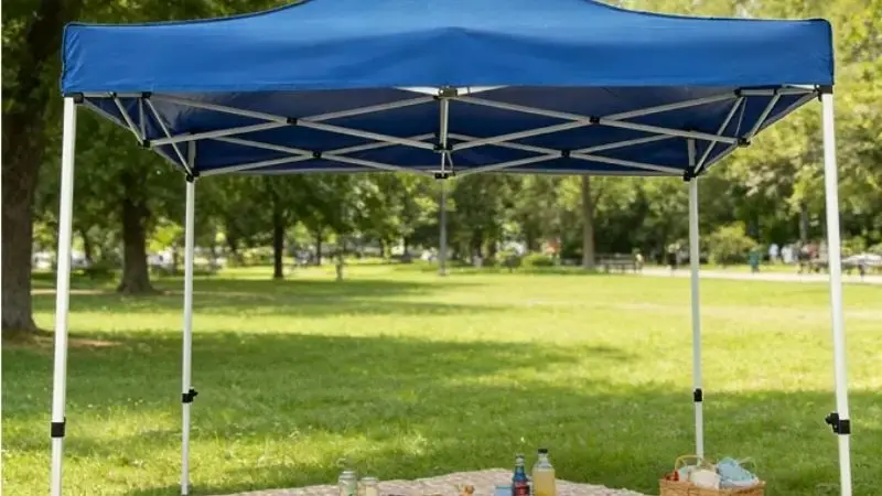Carpa con toldo para picnic