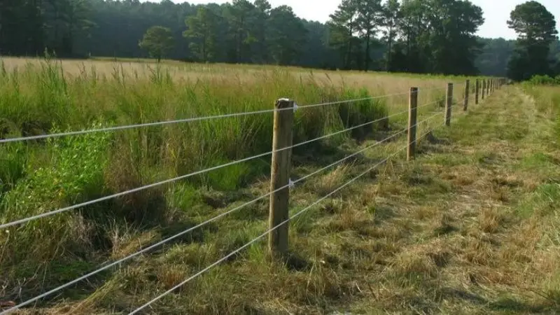 Different Wire Fences