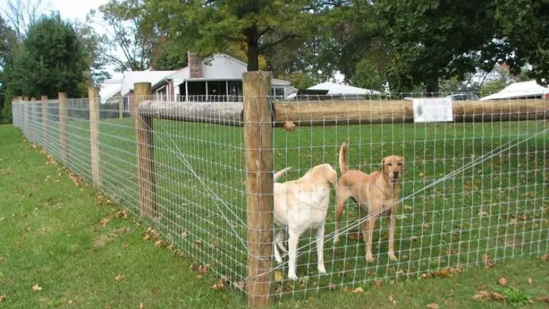 Benefits of Wire Fences