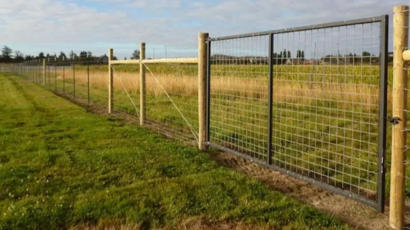 Best Wire Fence Types for Different Uses