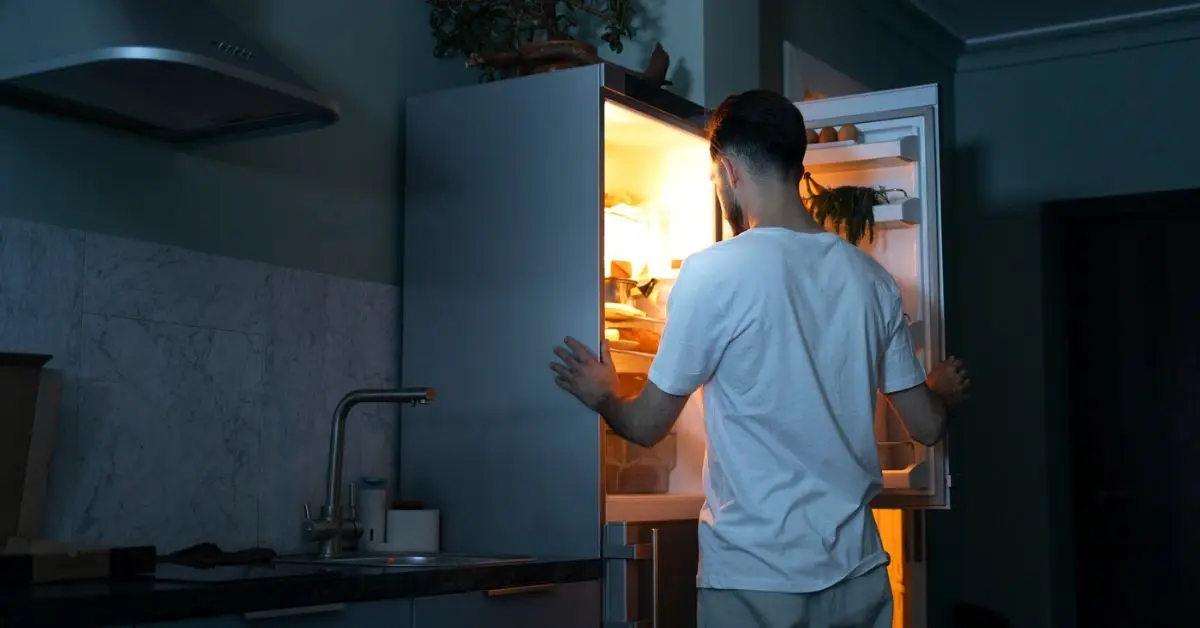 best 12-volt refrigerator