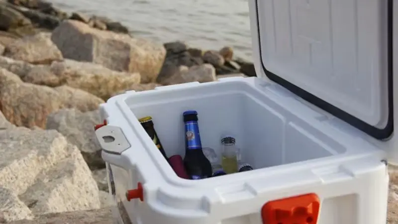 how much does a budget portable camping refrigerator cost