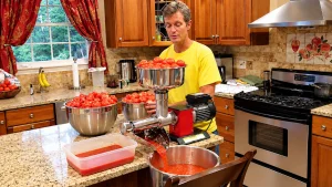food mill for tomatoes processing fresh tomatoes