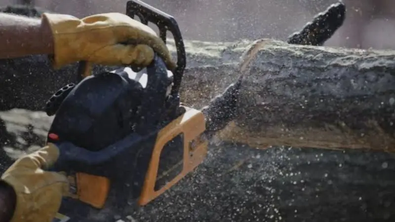 best gas chainsaw for homeowners and professionals