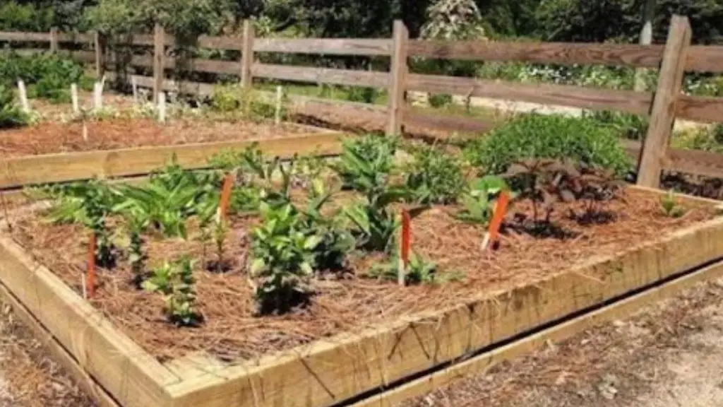 Raised garden bed sized for a backyard vegetable garden