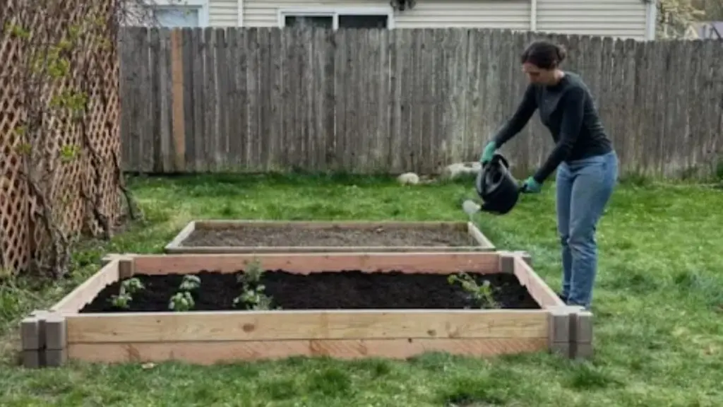 Person watering a raised garden bed in a backyard