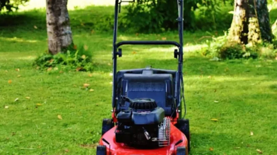 lawn mower blade grinder on a freshly cut green lawn