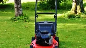 lawn mower blade grinder on a freshly cut green lawn