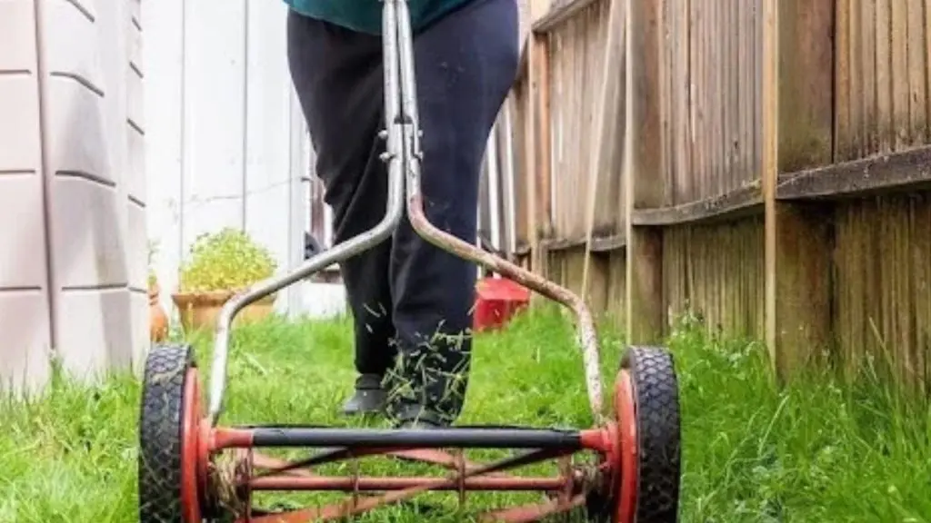Reel mower on grass, showing why a mower blade grinder matters