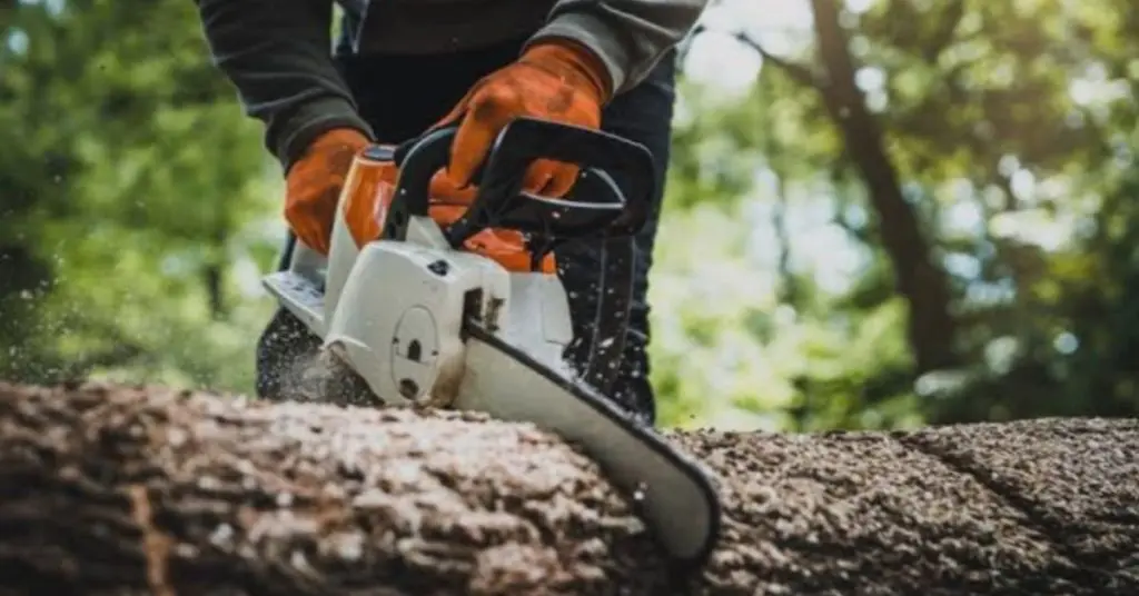 wood cutting machine