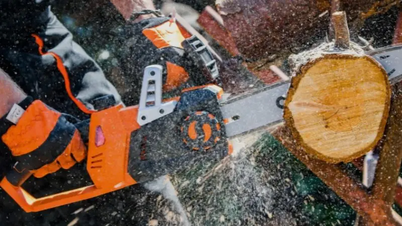 best heavy-duty gas chainsaw to consider