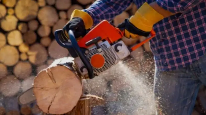 how to cut logs with a chainsaw in a simple way