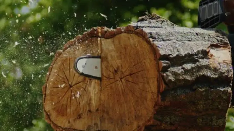 key features to look for in a heavy-duty gas chainsaw