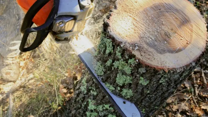 how to choose heavy-duty gas chainsaw for your needs