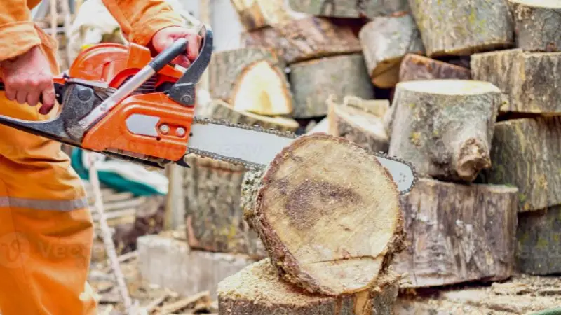how to cut fallen trees for firewood
