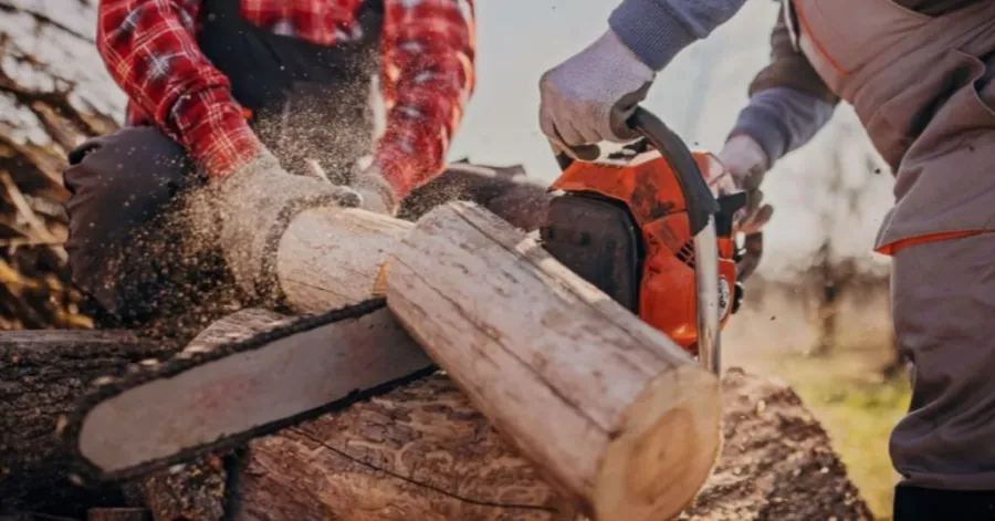 chainsaw for home use