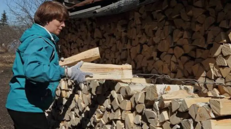 how to cut fallen trees for firewood