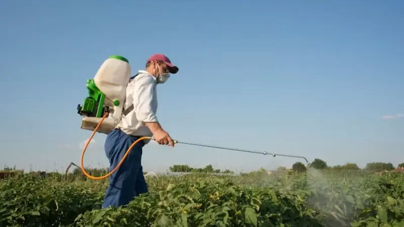 Pressurized Sprayer and How Does It Work