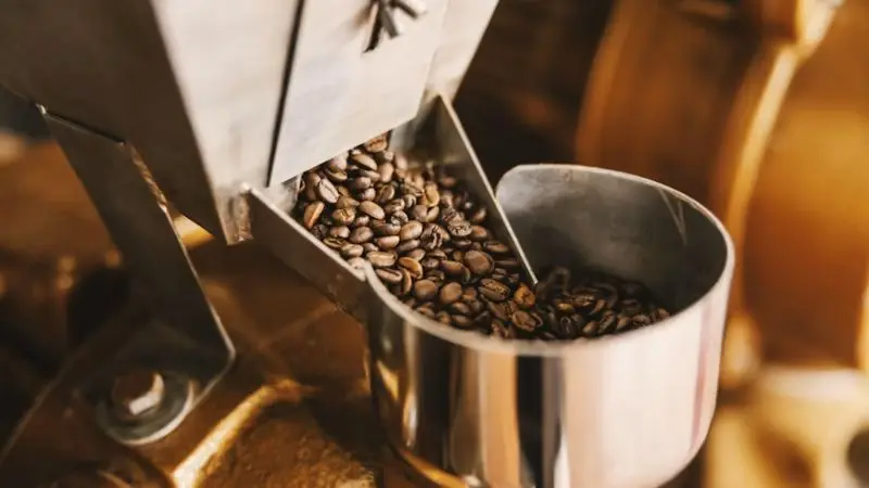 Best Coffee and Spice Grinders to Buy for Home Use