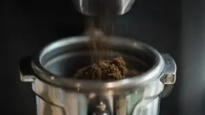 spice grinder