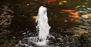 pond air pump