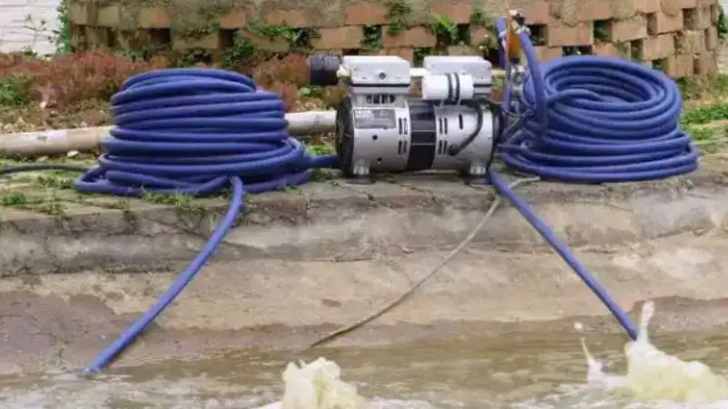 how to know if your pond needs more water