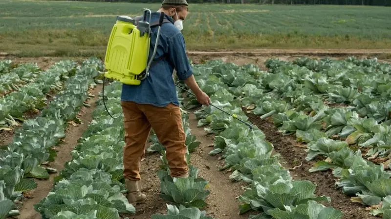 Key Features to Look for in a Good Backpack Sprayer