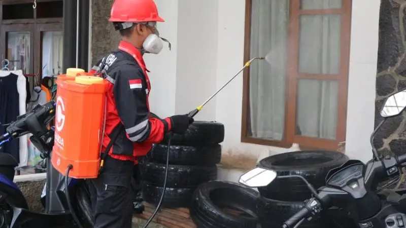 Battery-Powered vs Manual Backpack Sprayers